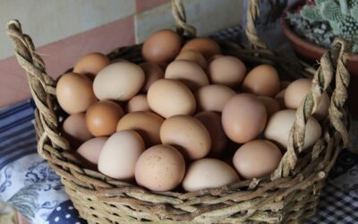 Asset Manager Viability Requires Diversification