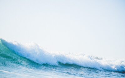 Will 2020 be the Year Managers Finally Catch the Technology Wave?