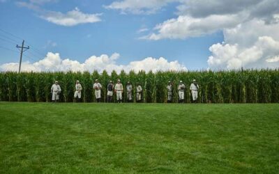 How Mutual Fund Adoptions Help Asset Managers Focus and Grow