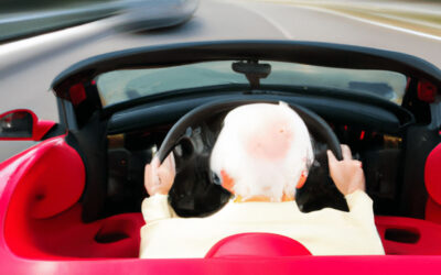 Would You Drive a Fast Car Slowly? Overcoming Common HubSpot Roadblocks
